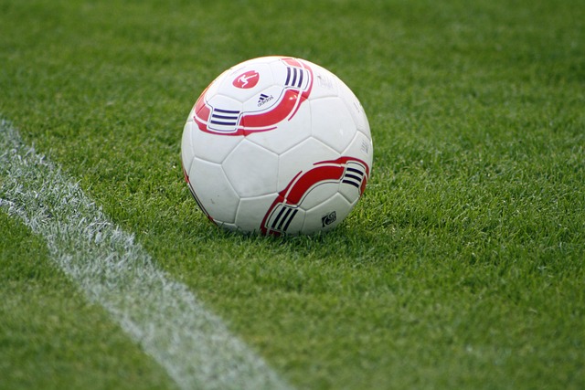 来的对话 来的对话