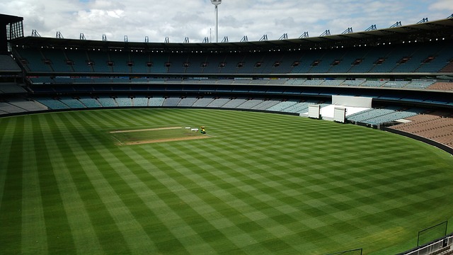 场球迷的热 场球迷的热