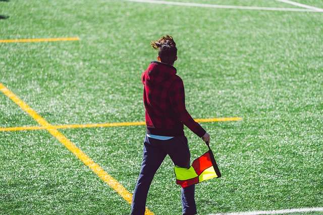 迷和评论员 迷和评论员