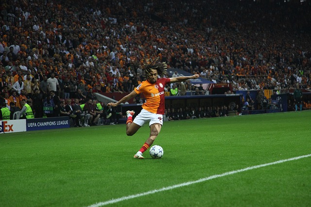 扮演了核心 扮演了核心