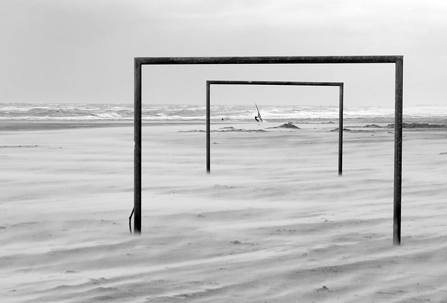 生物学知识 生物学知识