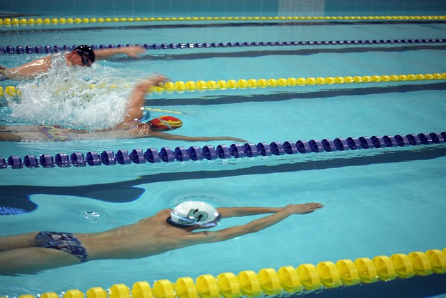 班牙人贡献 班牙人贡献