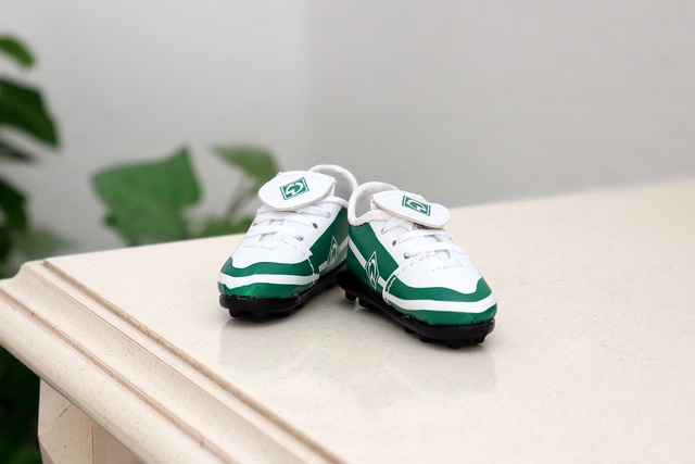 菜系中占据 菜系中占据