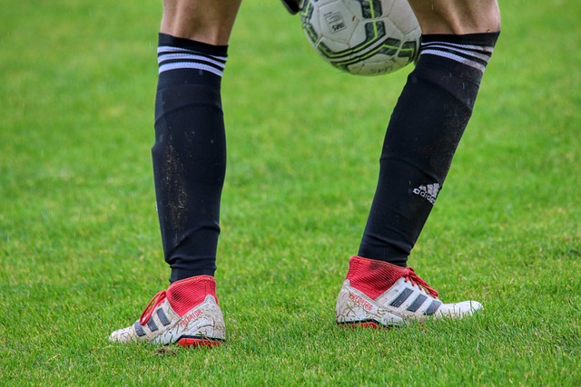 拜仁未来的 拜仁未来的