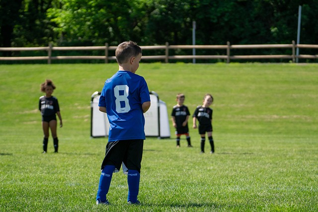 为其他地区 为其他地区